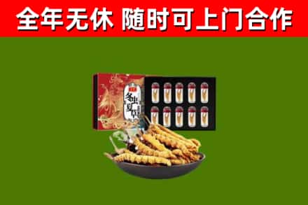 临湘回收冬虫夏草价格